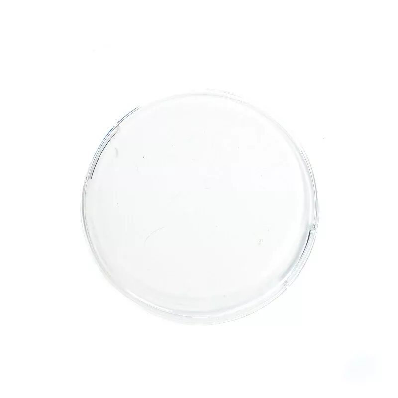 Baja Designs Squadron-R 2.0 Rock Guard (Single) - Clear