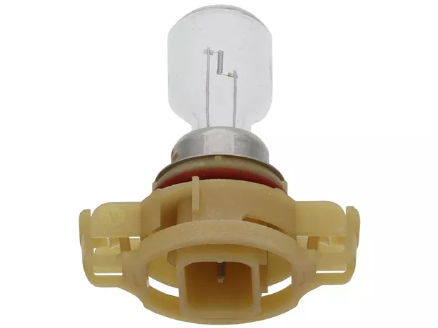BMW Bulb (12V - 24W) Clear with Cream Color Socket Base | 2013-2019 63217301310
