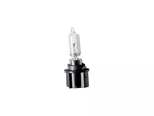 BMW Bulb Socket with Bulb for Trunk Lid Taillight | 2007-2013 63217207528