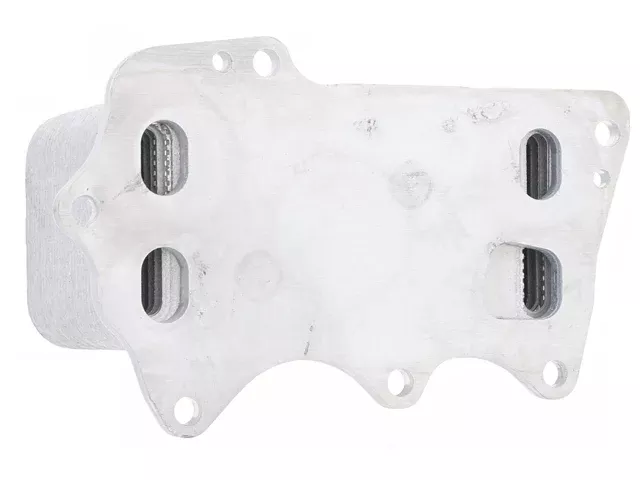 BMW Engine Oil Cooler | 2016-2025 11428583901