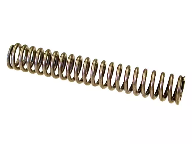 BMW Spring – Timing Chain Tensioner | 1991-2006 11411706809