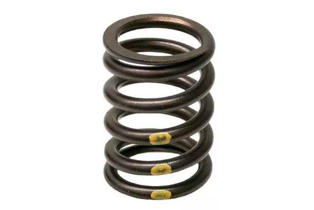 BMW Valve Spring | 1967-1987 11341276504