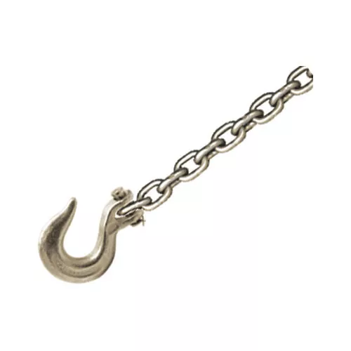 CHAMP 10-Foot Chain with Clevis Slip Hook 1022