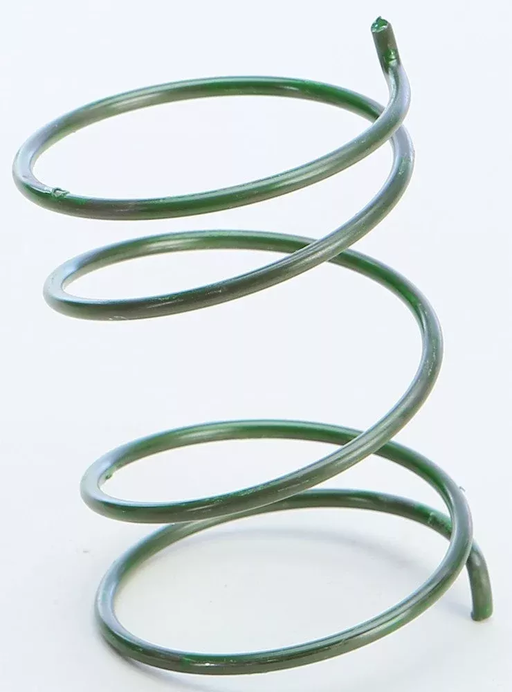 Comet 215699 Torque Converter Spring – Green