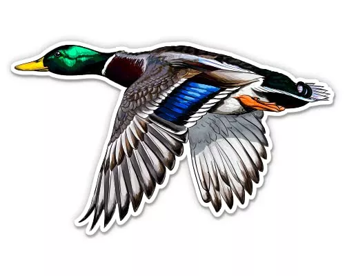 Flying Mallard Duck – 12′ Vinyl Sticker Waterproof Decal