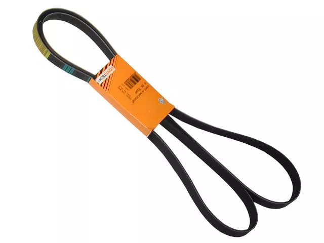 Mercedes-Benz Belt | 1998-2008 0119979792