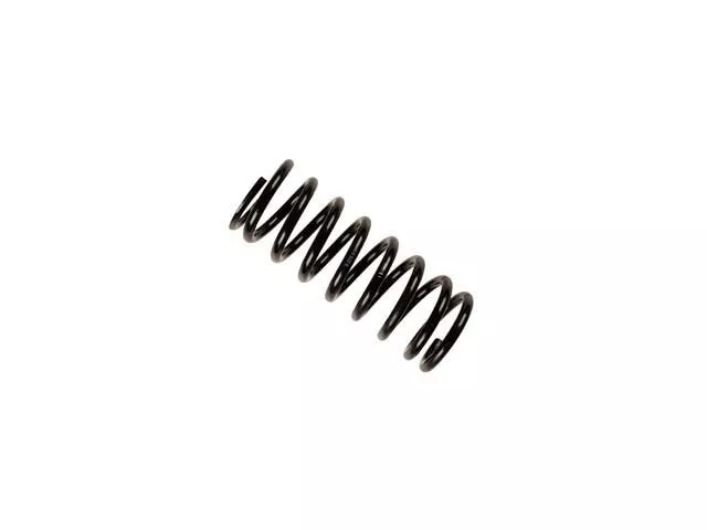 Mercedes-Benz Coil Spring | 1977-1991 1233240604