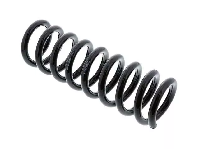Mercedes-Benz Coil Spring | 1996-2002 2103243204