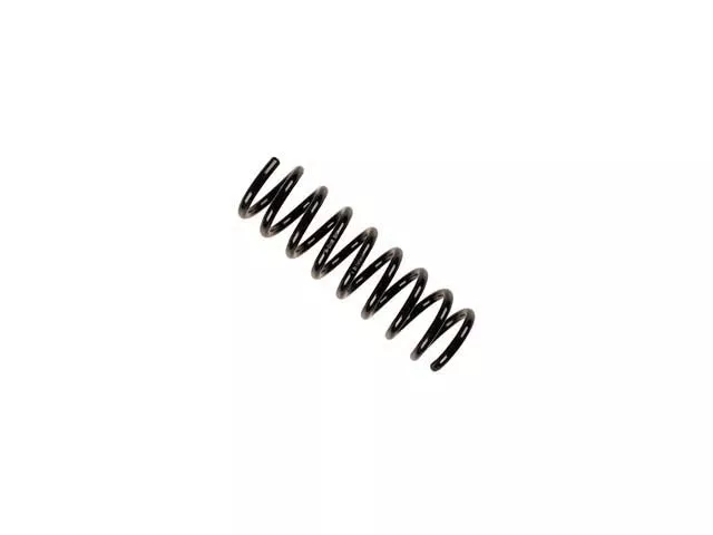 Mercedes-Benz Coil Spring | 1998-2004 1703210004