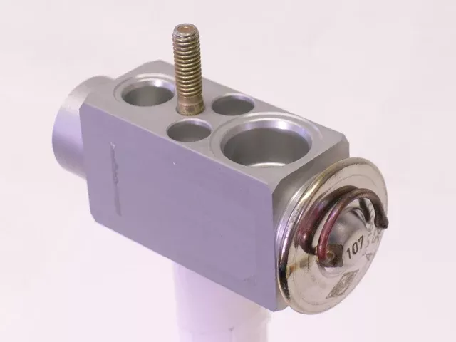 Mercedes-Benz Expansion Valve | 2000-2018 463830660164