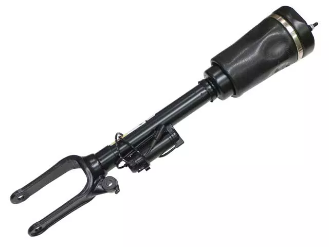 Mercedes-Benz Shock Absorber (Hydropneumatic Spring Leg) | 2007-2012 1643205913