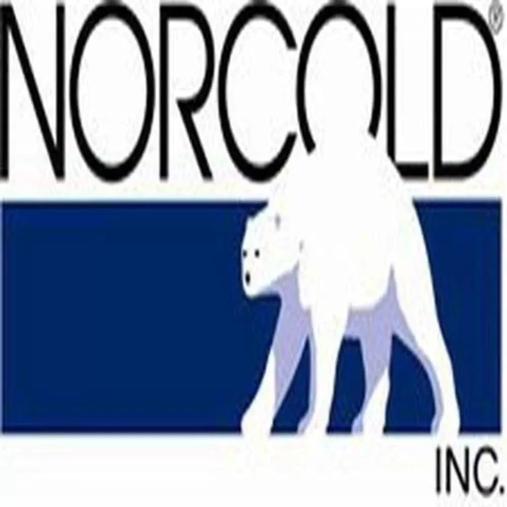 Norcold Inc 628674 Power Board Base