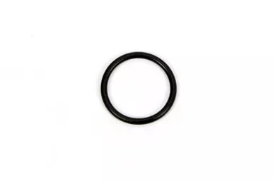 O-Ring For Inspection Plug
