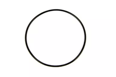 O-RingDust Cap GN