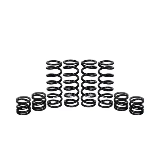 Polaris General 1000 Stage 1 Spring Kit W.E. Shock