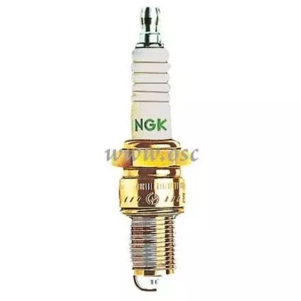 Spark Plug #5881, Pack Of 10