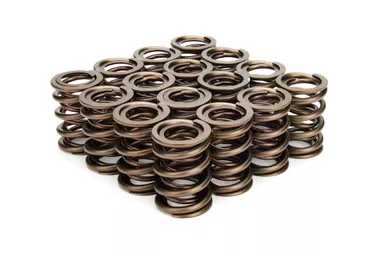 Valve Springs - Dual 1.405